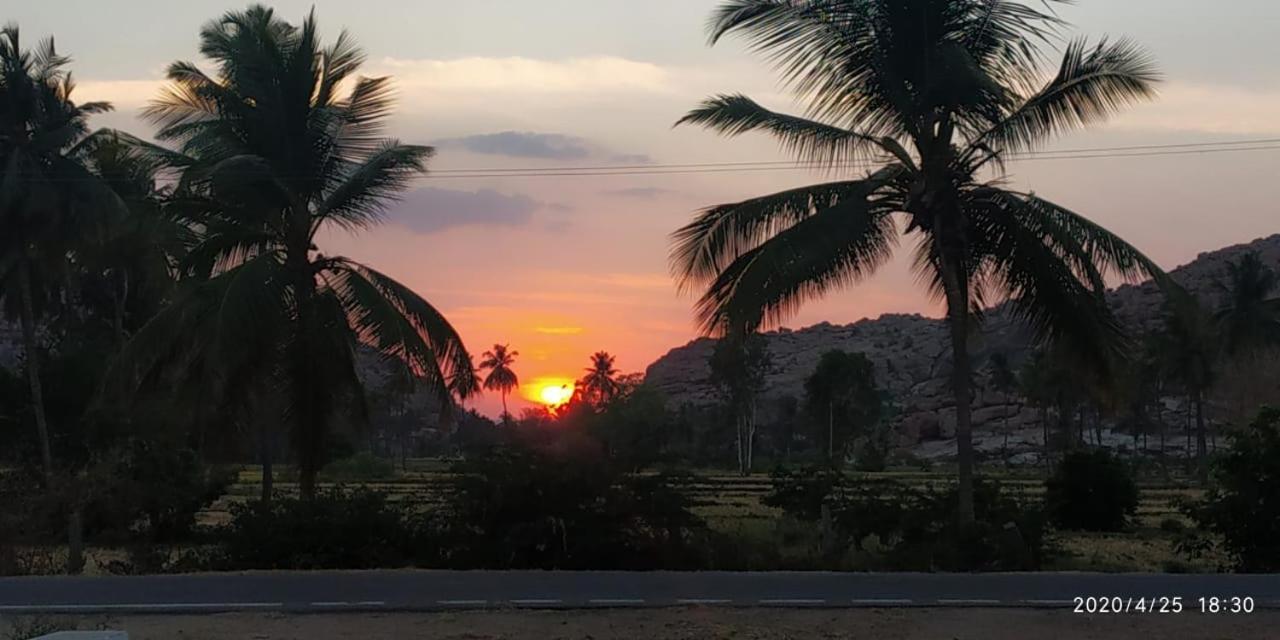 Island Vibes Hampi Guesthouse Dış mekan fotoğraf